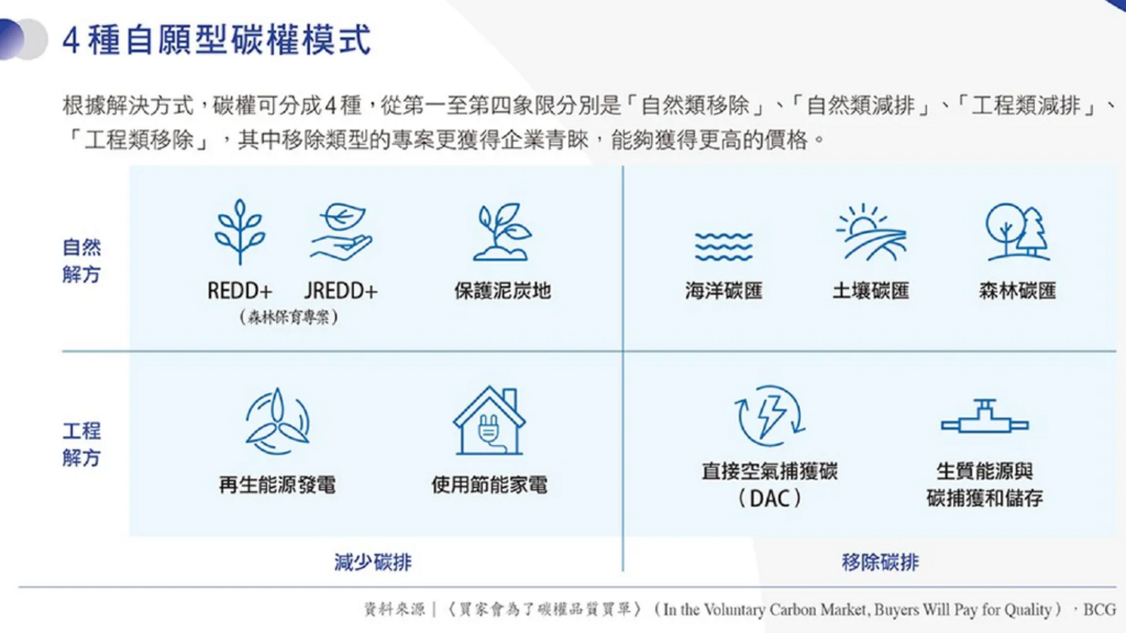 企業追求減碳，相較於保育森林、少砍樹，為什麼更傾向積極造林、多種樹？