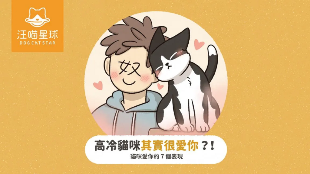 高冷貓咪愛得低調！解鎖貓咪喜歡你的 7 個表現！