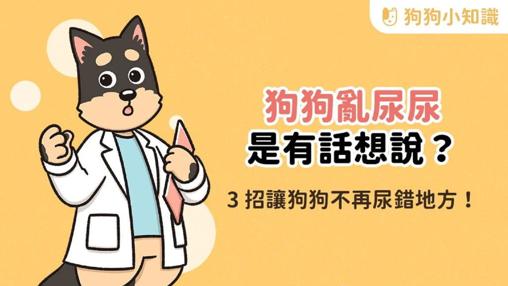 狗狗亂尿尿是在抗議？3 招讓狗狗不再尿錯地方！