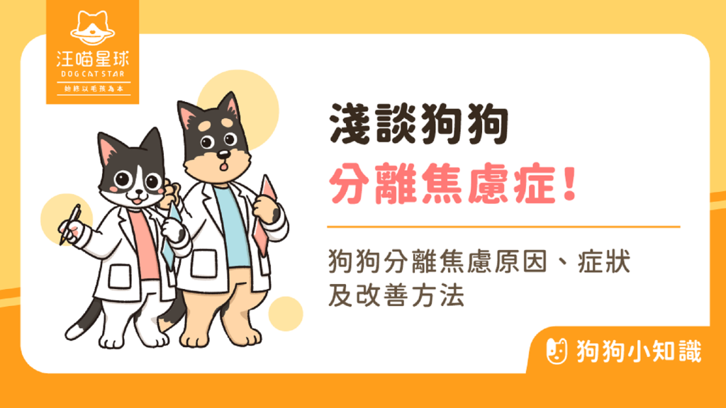 認識狗狗分離焦慮症！3 方法安撫狗狗不安情緒！