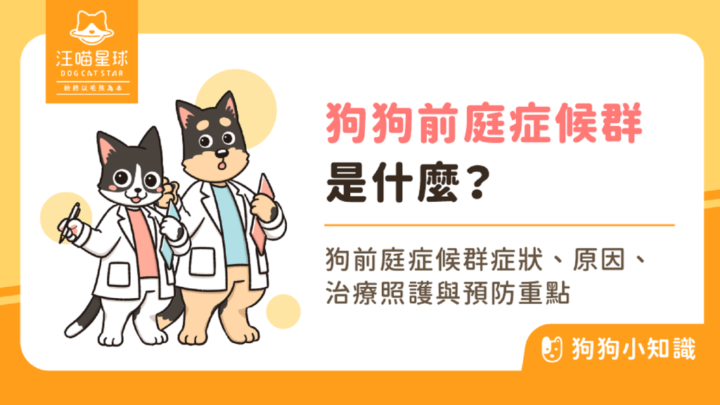 狗狗站不穩、頭歪一邊？前庭症候群症狀與照護重點整理