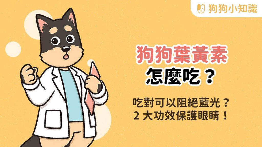 狗狗眼睛霧霧的？葉黃素功效、挑選與食用指南全解析！