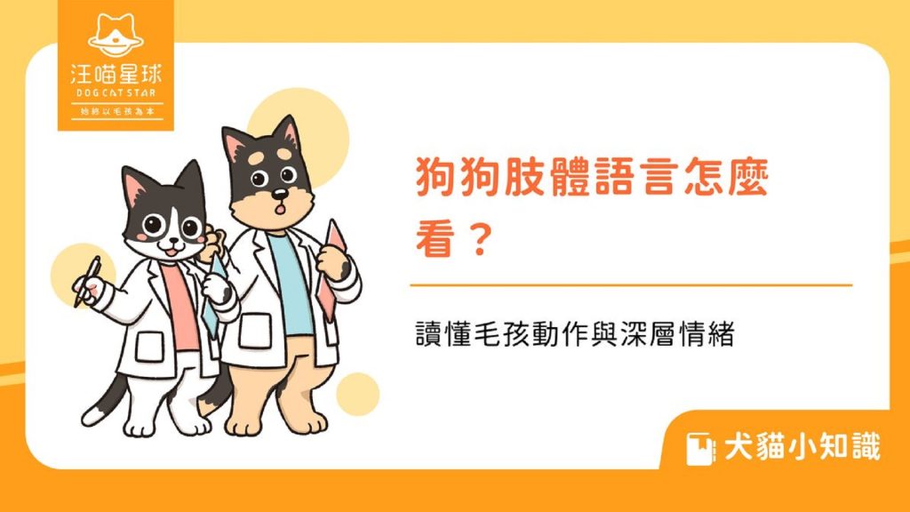 狗狗在想什麼？常見狗狗動作與心情解析，新手爸媽一看就懂！