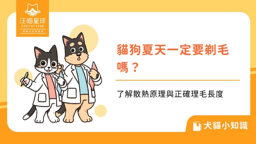 寵物剃毛長度怎麼留？夏天貓狗散熱與皮膚照護重點解析