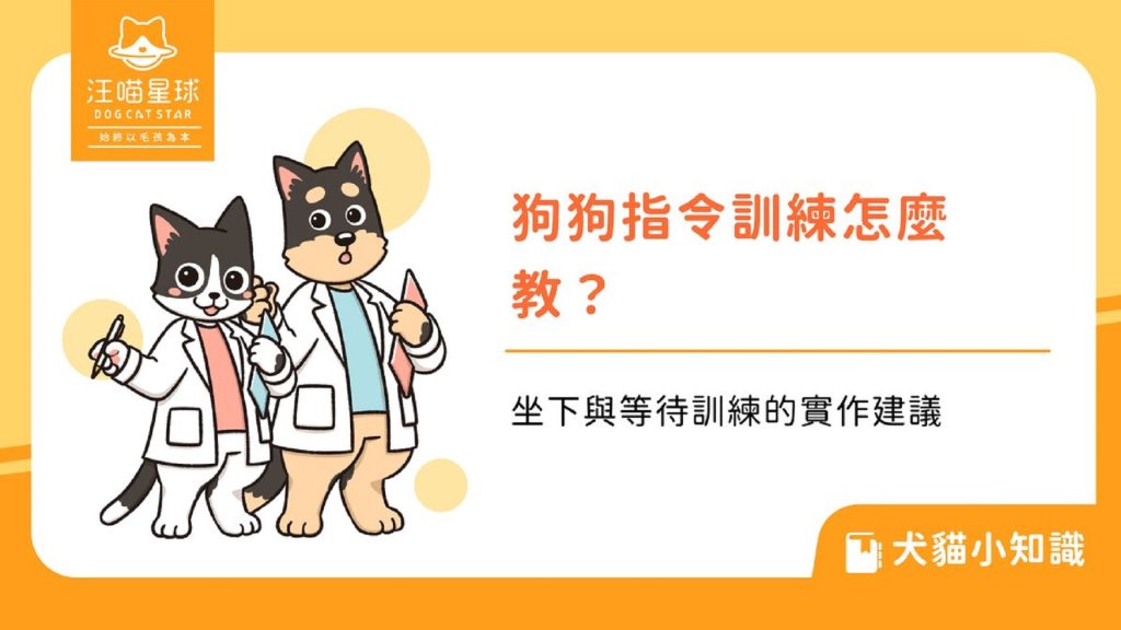 狗狗指令訓練怎麼教？坐下與等待訓練實作建議